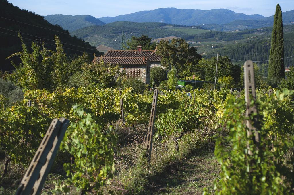 Country Room Il Moro Rignano sullʼArno Exterior foto