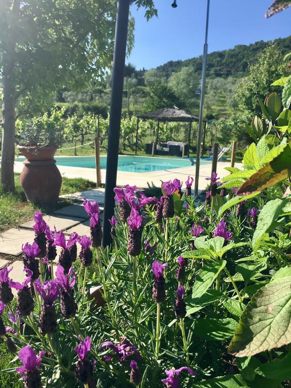 Country Room Il Moro Rignano sullʼArno Exterior foto